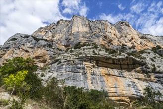 Vertical limestone cliff seen from the Sentier Martel in the Gorges du Verdon