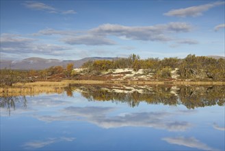 Lake in marshland of the Fokstumyra Nature Reserve in autumn