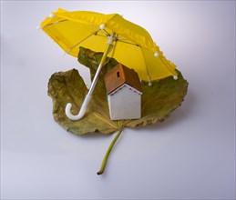 Little model house placed on an Autumn leaf and under an umbrella