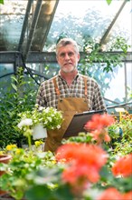 Portrait of gardener or florist working in a nursery inside the flower greenhouse