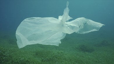 Old plastic bag drifting in water column over seagrass meadow. Plastic bag floating underwater on the blue depth