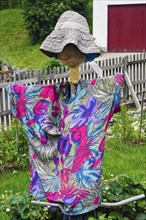 Scarecrow with colourful shirt
