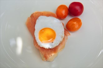 Sandwiches with smoked salmon and quail egg on a plate