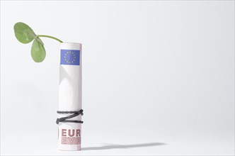 The Bill of Rolled Ten Euro with Three Leaf Clover and Rubber Band with Shadow