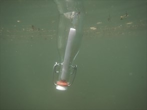 Message in a bottle and floating underwater