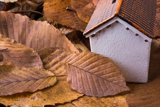 Little model house places on an Autumn background with leaves