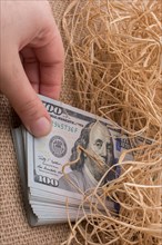 Banknote bundle of US dollar in a straw pile on canvas