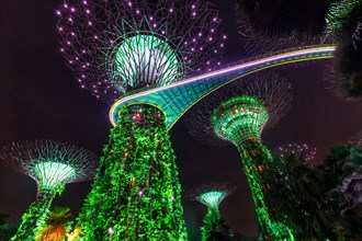Gardens by the Bay with the Supertrees in the evening in Singapore