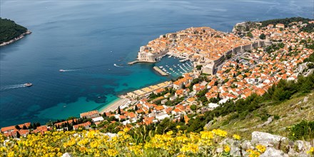 View of the old town by the sea Holiday Dalmatia Panorama in Dubrovnik