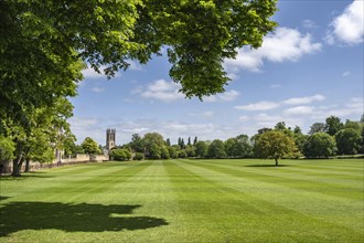 View across the grass playing field Merton Field to the church tower of Merton College Chapel