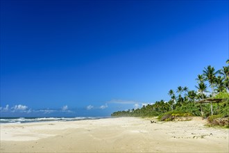 Stunning Sargi beach surrounded by the sea and coconut trees in Serra Grande on the coast of Bahia