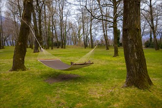 Hammock Between two Trees on Green Field with Bare Trees in Ticino