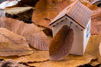 Little model house places on an Autumn background with leaves