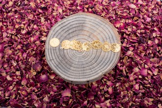 Fake coins on a piece of wood on dry rose petals
