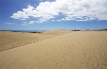 Maspalomas Dunes Nature Reserve