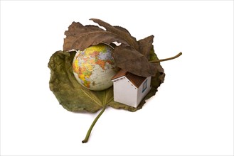 Model globe and a little model house placed between two Autumn leaves