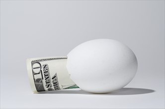 The bill of ten dollar in the chicken egg