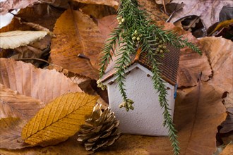 Little model house places on an Autumn background with leaves