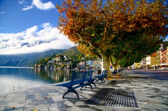 Bench with Shadow and Autumn Trees close to an Alpine Lake Maggiore with Mountain in Ascona