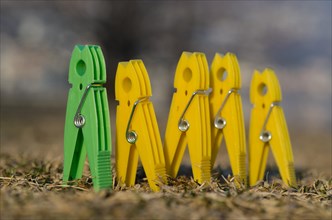 On Green and Four Yellow Clothespin Standing up Together