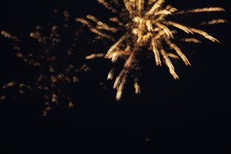 Golden fireworks in the night sky