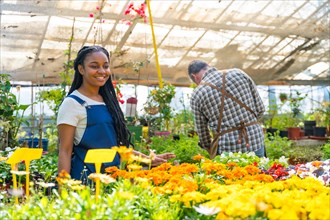 Black ethnic female flower nursery worker checking plants in greenhouse