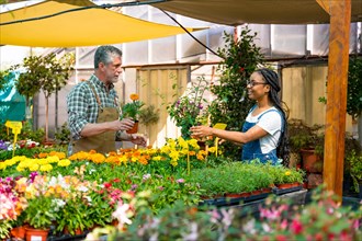 Happy female customer buying orange flowers from a gardener in a nursery inside the greenhouse in summer