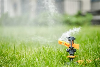 Automatic watering of grass with a modern rotating sprinkler