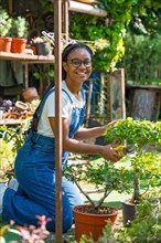 Portrait of black ethnic woman with braids gardener working in the nursery inside the greenhouse cutting the bonsai trees