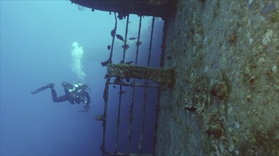 Scuba diver filming deck of ferry Salem Express shipwreck