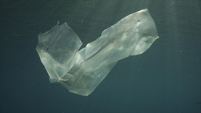 Old torn plastic bag drifting in water column in sunburst. Plastic bag floating underwater on the blue depth on sunbeams