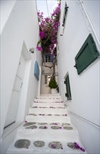 Cycladic white houses with colourful shutters and bougainvillea