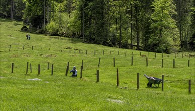 Alpine farmer working on the wooden fence