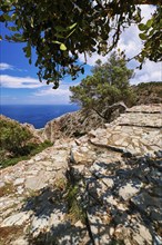 Typical Greek or Cretan landscape. Paved stairs down the hills and mountains