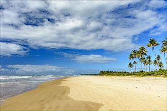 Paradisiacal tropical beach of Sargi in Serra Grande in Bahia