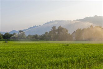 Water Sprinkler on Agriculture Field in Switzerland