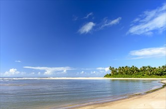 Beautiful Sargi beach surrounded by coconut trees and completely deserted on a summer morning in Serra Grande on the coast of Bahia