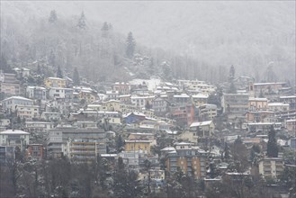 Houses in winter with snow