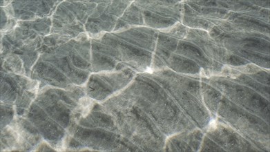 Glare of sun plays on sandy bottom in shallow water. Top view on sandy seabed in shallow water with diagonal lines of sand and sun glare on its surface in brightly suny day