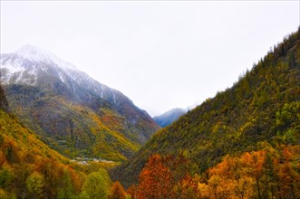 Village in Mountain Valley Maggia with Snow and Autumn Trees in Ticino