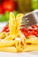 Penne Rigatoni Rigate Italian pasta in tomato sauce with fork eat lunch dish on plate in Stuttgart