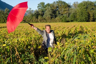 Happy and Elegant Business Man in the Bean Field with Arms Raised and Holding a Red Umbrella with Mountain and Clear Sky