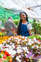 Portrait of happy black ethnic woman plant and flower nursery worker cutting plants in greenhouse