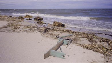 Floating debris has reached Black Sea beaches in Odessa