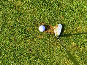 Golf ball lying in a divot on golf course in Switzerland