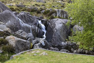 Stream with waterfall at Llyn Ogwen