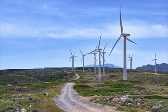 Windmill turbine farm on a hilltop in colorful landscape with winding road against blue sky on clear sunny summer day. Crete