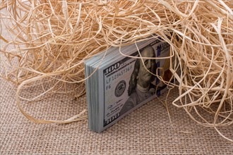 Banknote bundle of US dollar in a straw pile on canvas