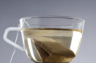 Making a Cup of Tea with the Tea Bag Inside