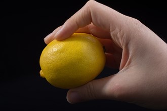 The fruit of Yellow Lemon is in Hand on black